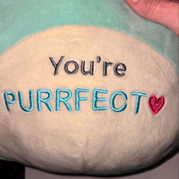 Squishmallows 14" Jules the Cat Plush - Picture 7 of 11